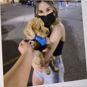 Meet your Posher, Kylie